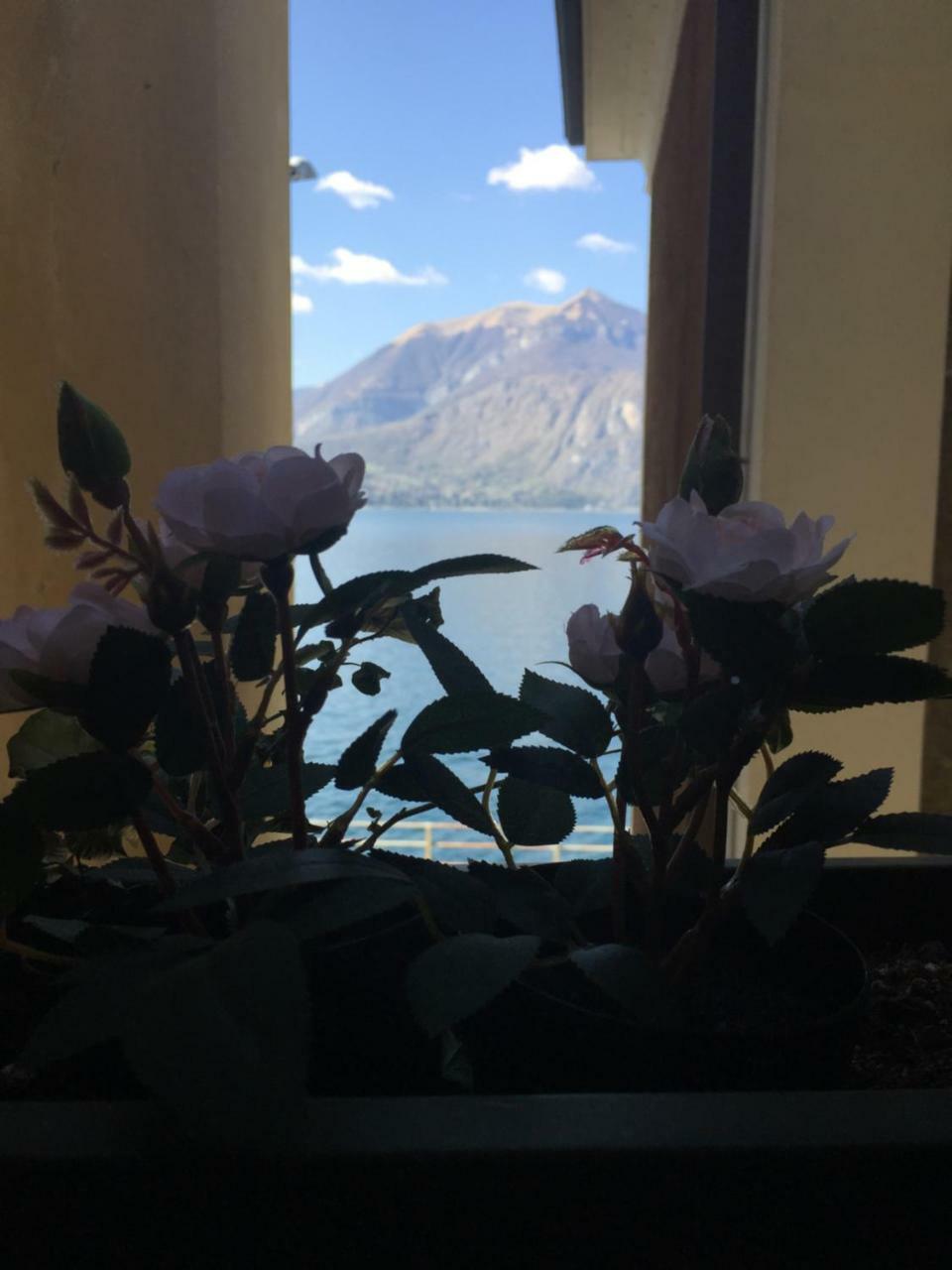 Ferienwohnung Cozy Garden Retrait Varenna Exterior foto